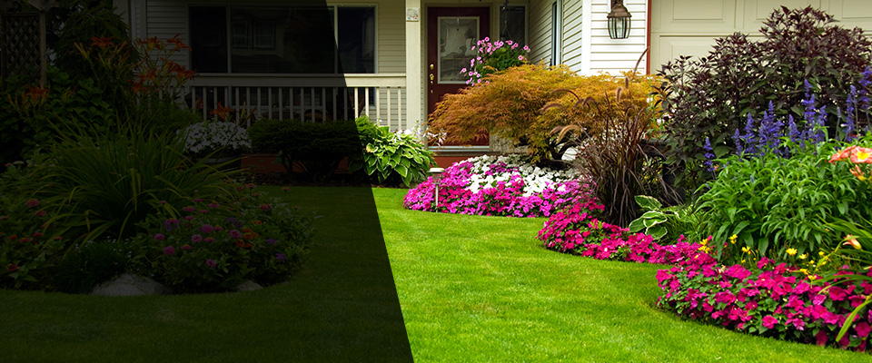 Holley Landscapers