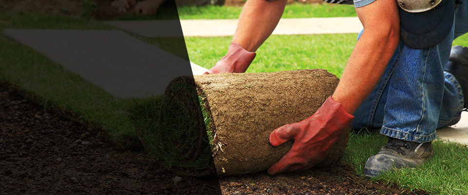 Holley Landscapers